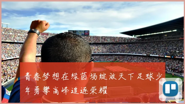 青春梦想在绿茵场绽放天下足球少年勇攀高峰追逐荣耀