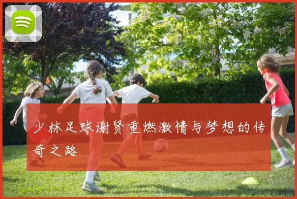 少林足球谢贤重燃激情与梦想的传奇之路