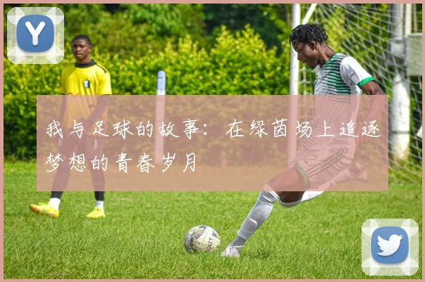 我与足球的故事：在绿茵场上追逐梦想的青春岁月