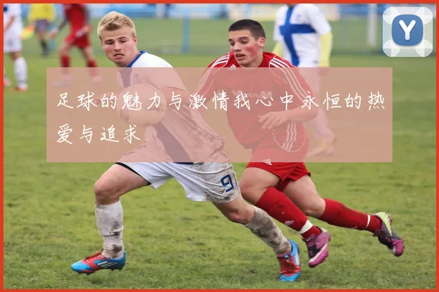 足球的魅力与激情我心中永恒的热爱与追求