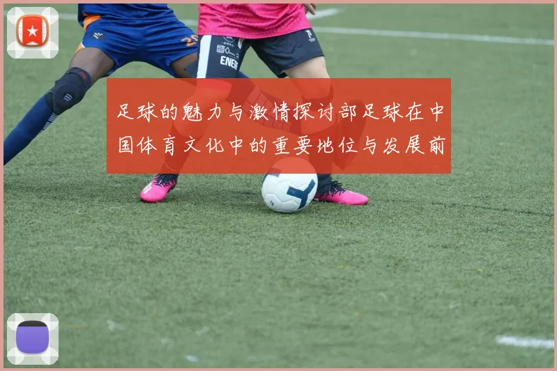 足球的魅力与激情探讨部足球在中国体育文化中的重要地位与发展前景